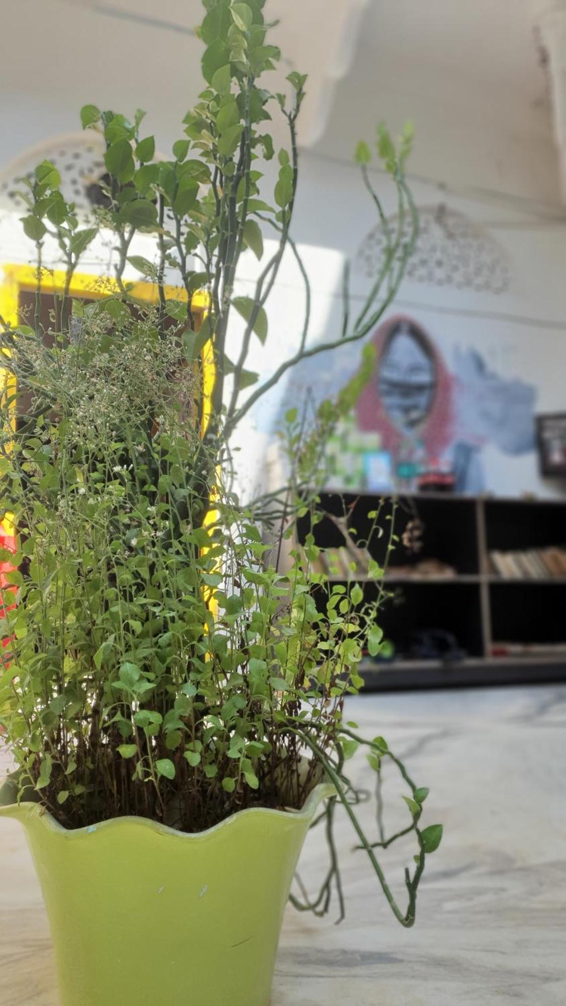 Anand Hostel بوشكار المظهر الخارجي الصورة