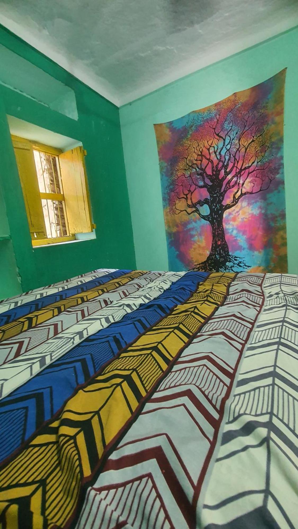Anand Hostel بوشكار المظهر الخارجي الصورة